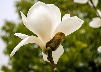 裸睡到底有什么好处