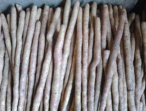 河北麻山药小白嘴白山药的选购方法