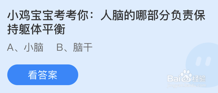 蚂蚁庄园人脑的哪部分负责保持躯体平衡