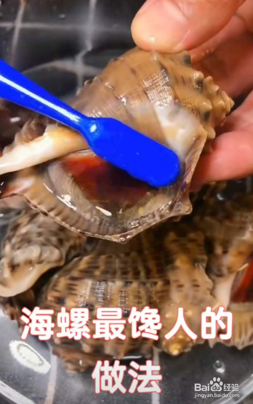 海螺的做法蒸多长时间