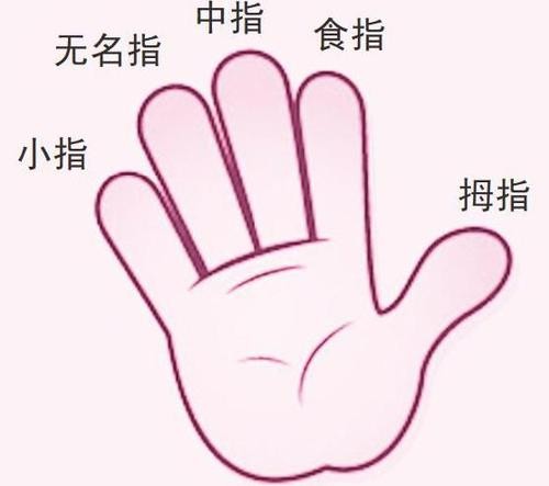 请问五个手指头怎样区分