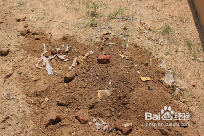 2012年6月23日 记录