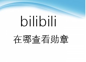 bilibili在哪查看勋章