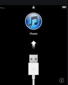 iphone12无法激活