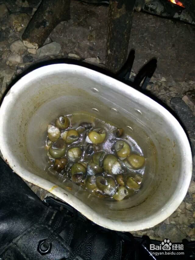 江西省马头山原始森林指南