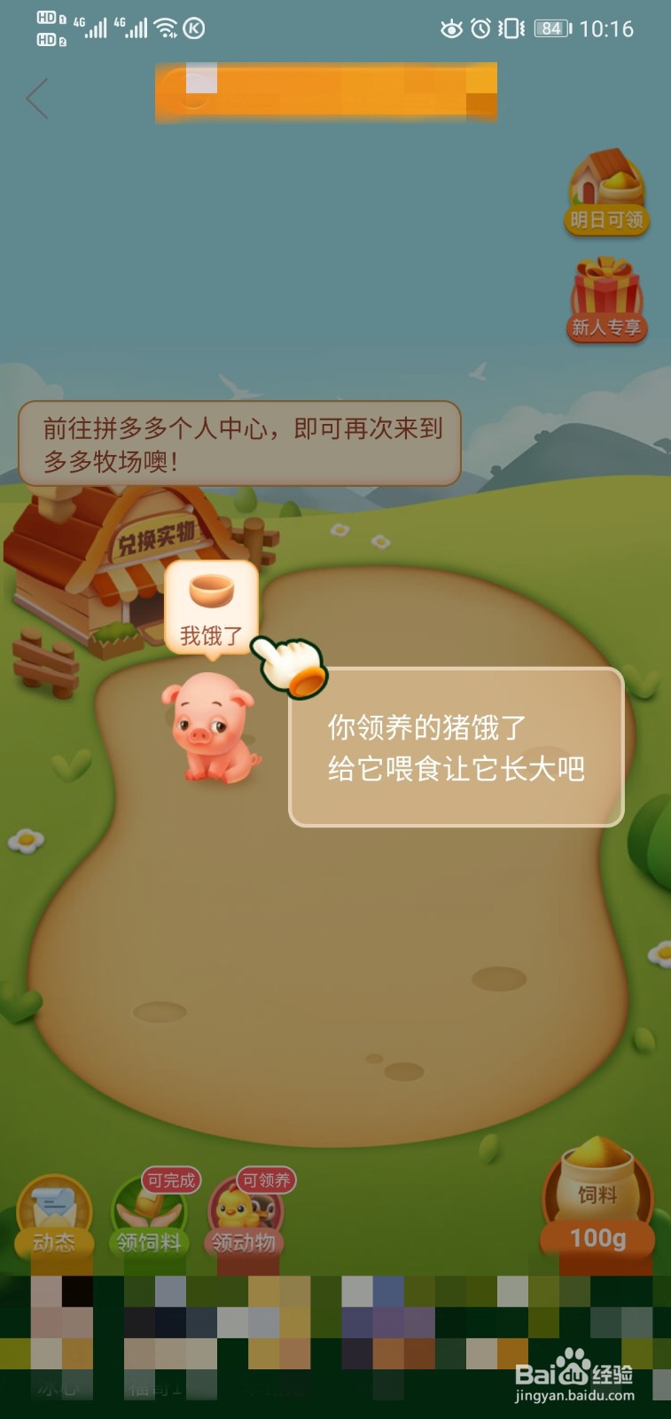 拼多多如何养猪