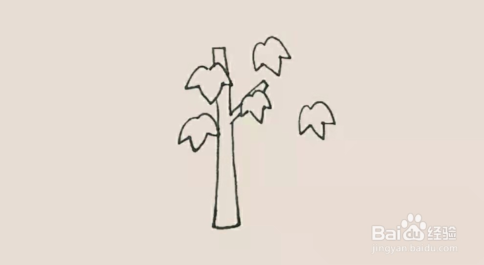 枫树简笔画 简单 步骤图片