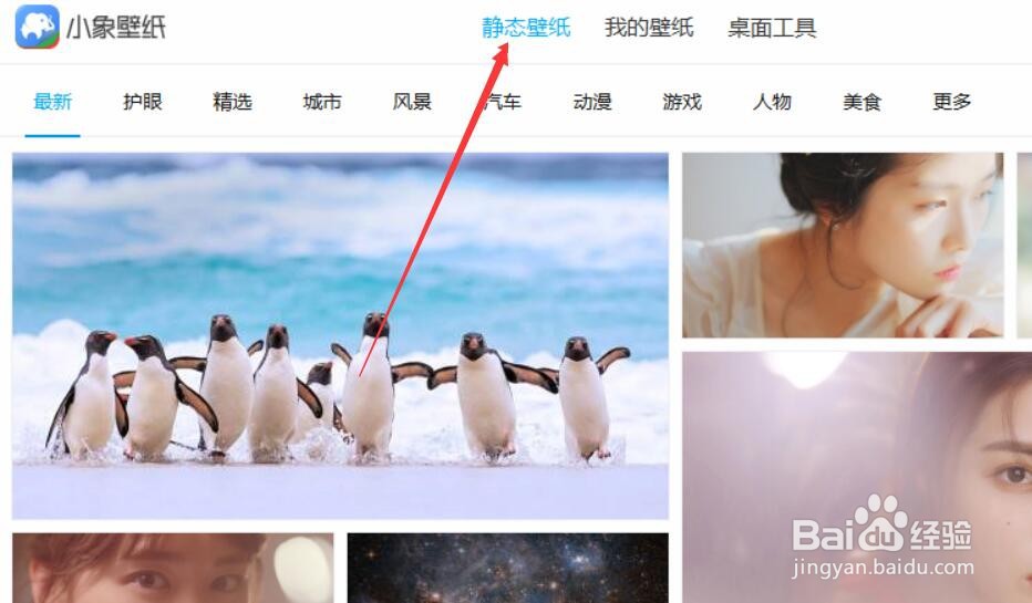 小象壁纸如何选择护眼壁纸