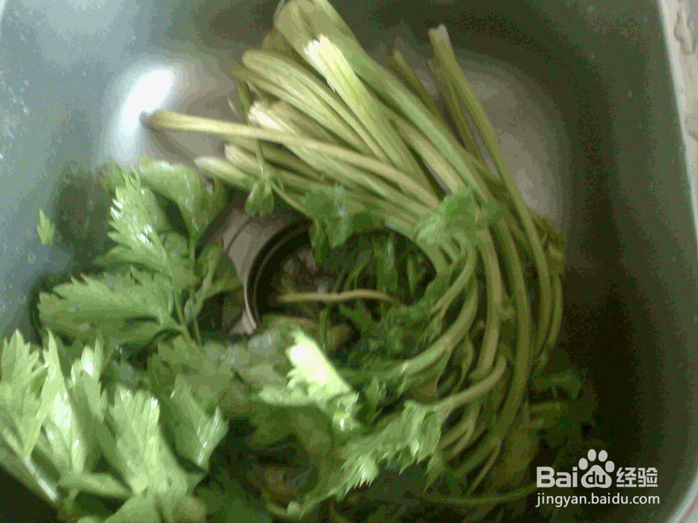 怎样做好炒旱芹菜地瓜粉的备料
