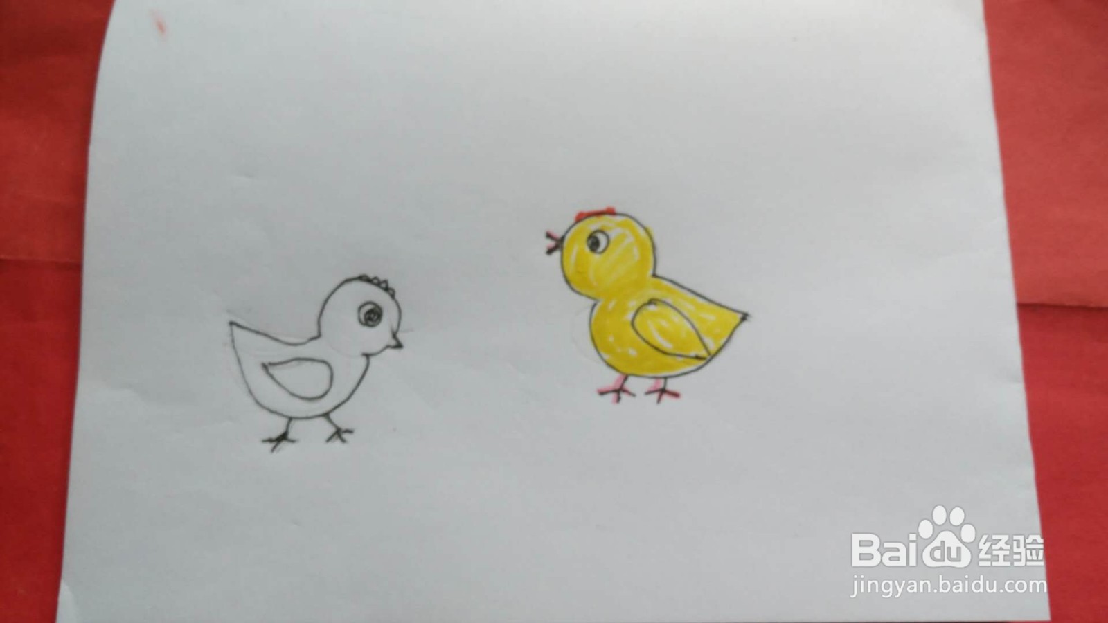 小鸡简笔画图片彩色