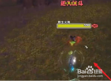 魔兽世界火鸡终结者成就达成攻略