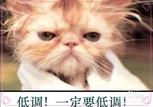在生活中如何办事宴