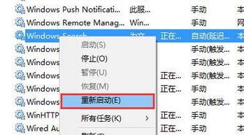 Win10的搜索框搜不到东西怎么办