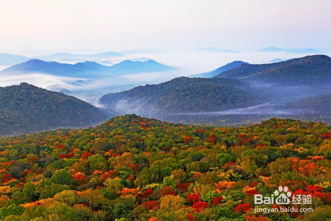 哈尔滨金龙山国家森林公园游玩攻略