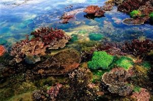 涠洲岛三天旅游攻略