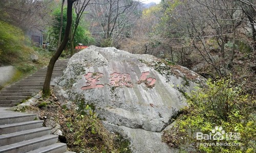 王顺山国家森林公园攻略