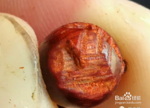 印度小叶紫檀泥料也有假的如何鉴定