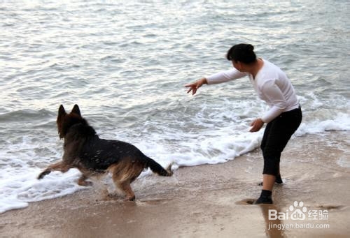 女不养狗,男不养猫是什么意思