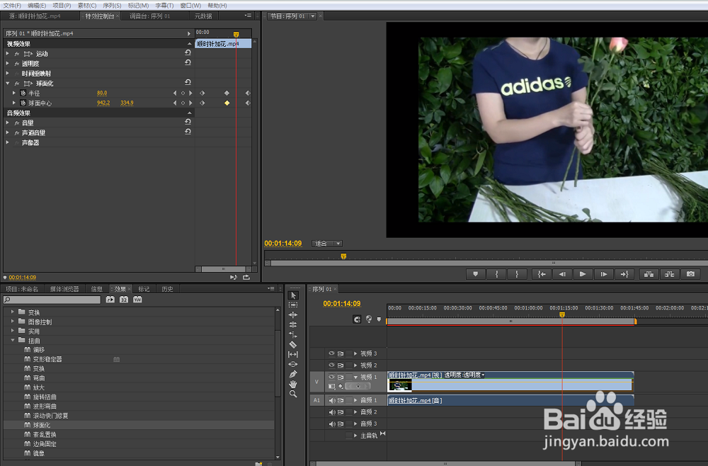 球面化效果premiere