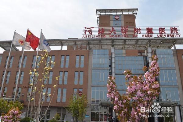 河北大学内部观光攻略