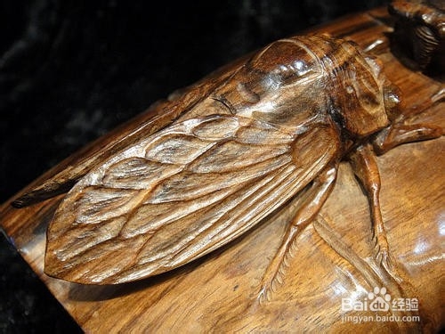 木雕知了雕刻方法图解