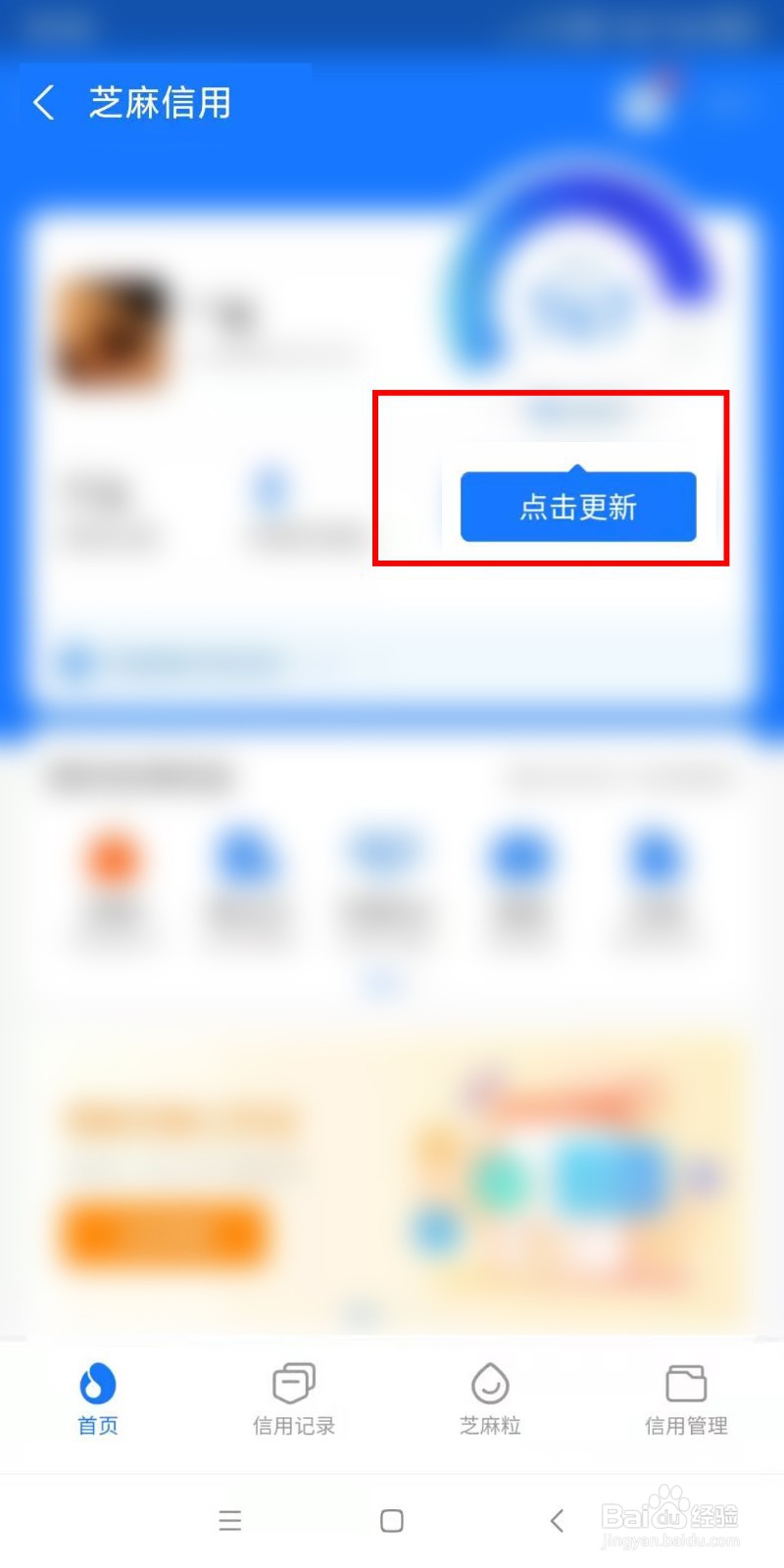 如何更新芝麻信用分