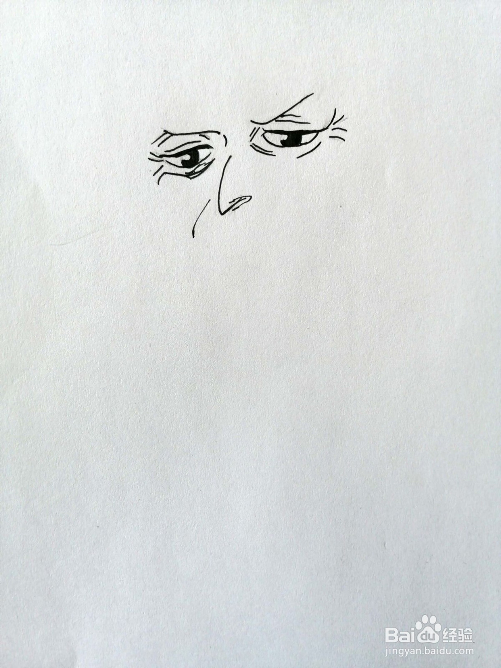《航海王》系列之鹤简笔画