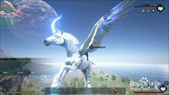 如何驯服闪亮天马