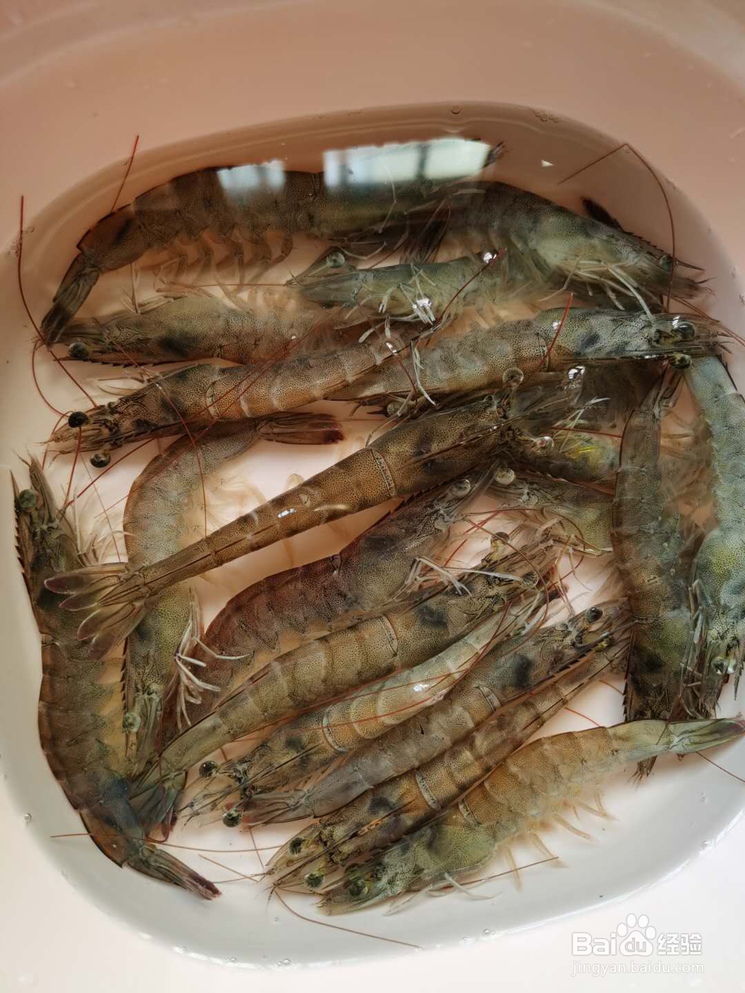 清蒸基围虾怎么做