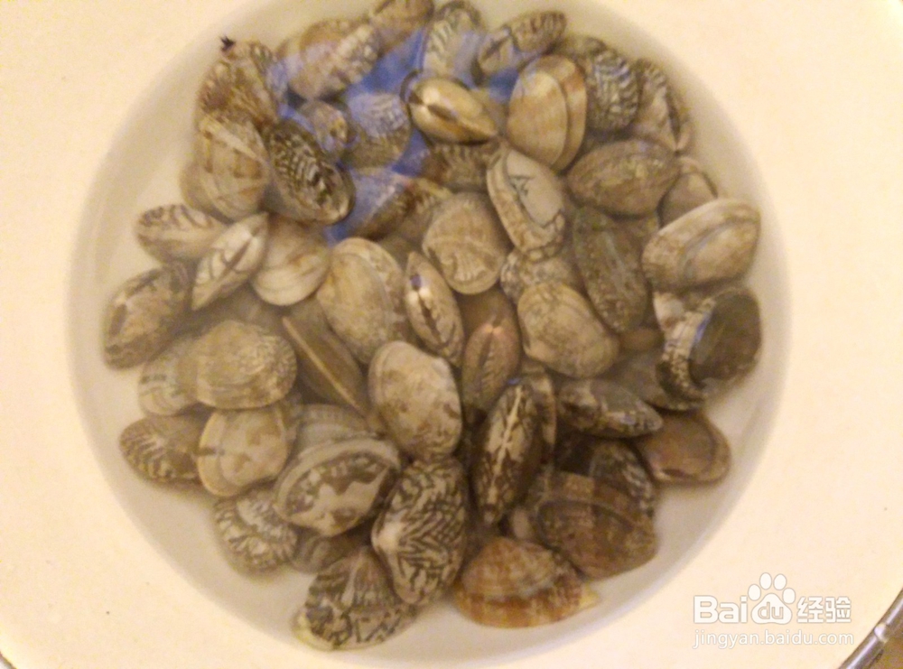 美食#花甲如何进行清洗