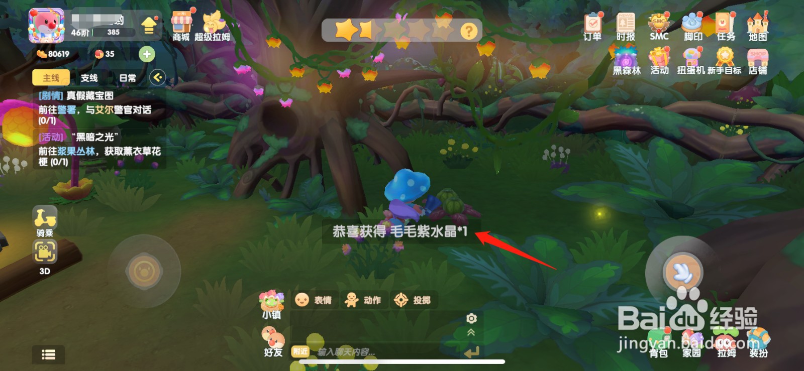 摩尔庄园毛毛紫水晶在哪