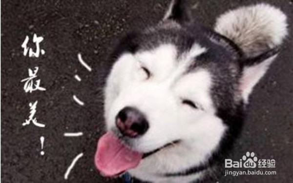 提升个人魅力做到六个“不”