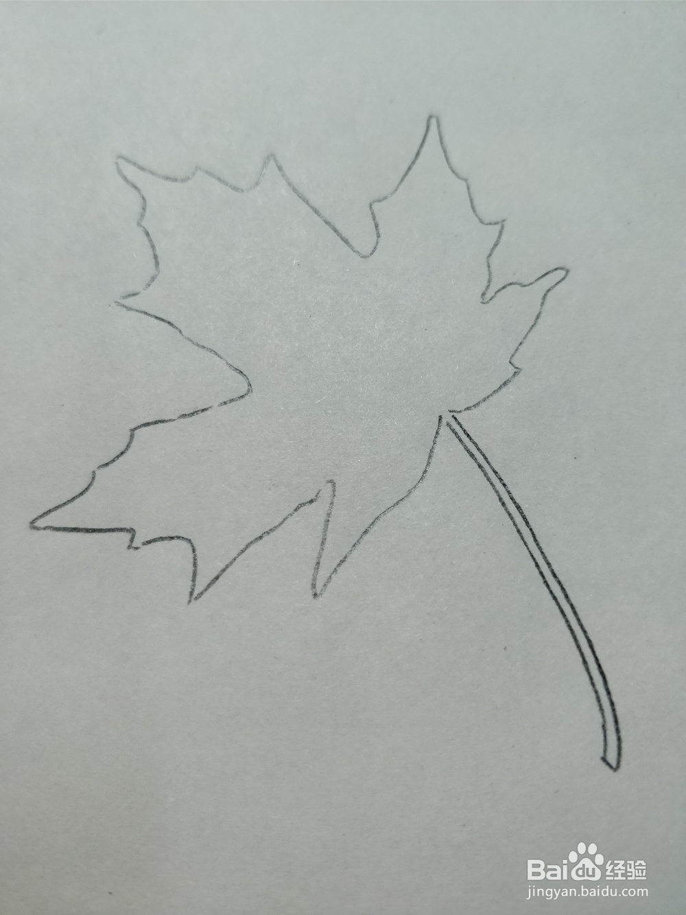 简笔画枫叶怎么画