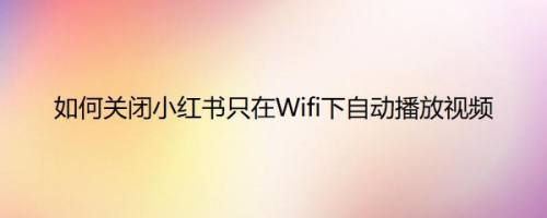 如何关闭小红书只在Wifi下自动播放视频