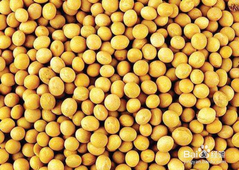 哪些食物不适合和黄豆在一块吃