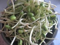 怎么做豆芽炒肉丝