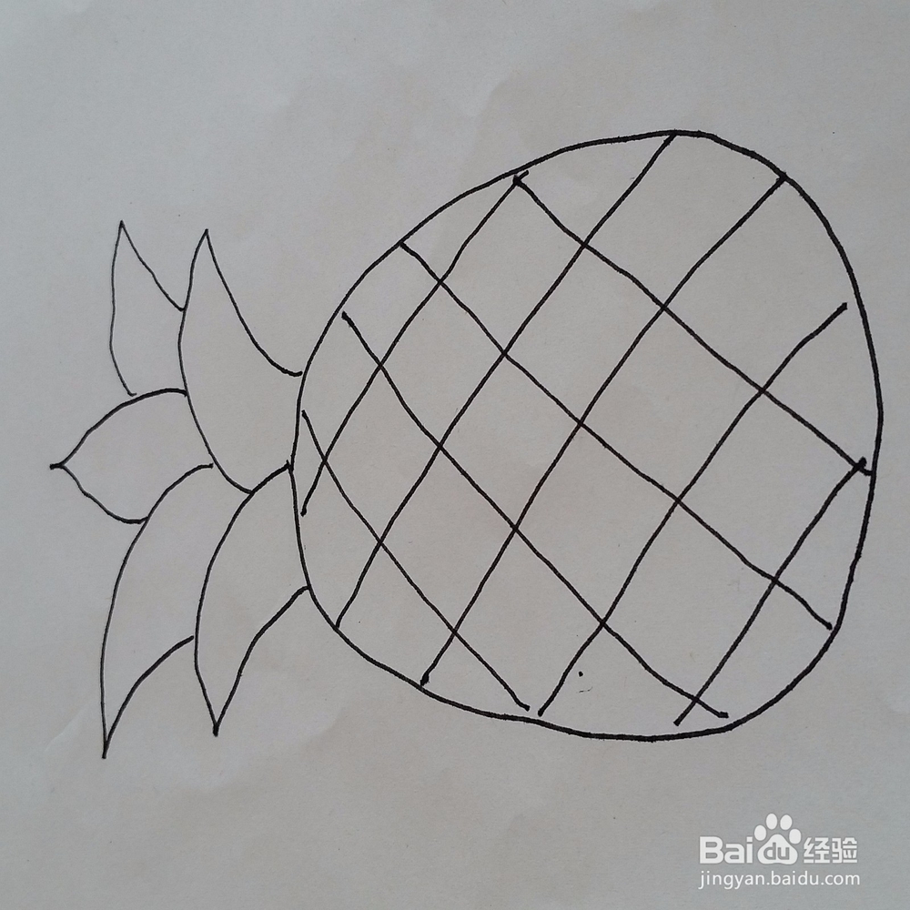 菠萝儿童水果简笔画步骤图