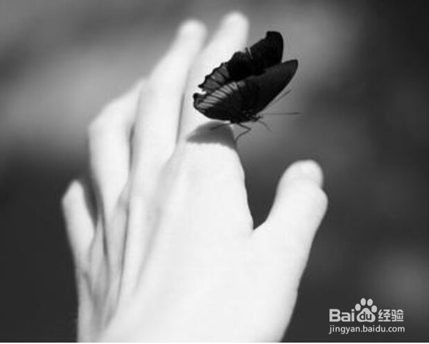 我的心痛,你知道吗?