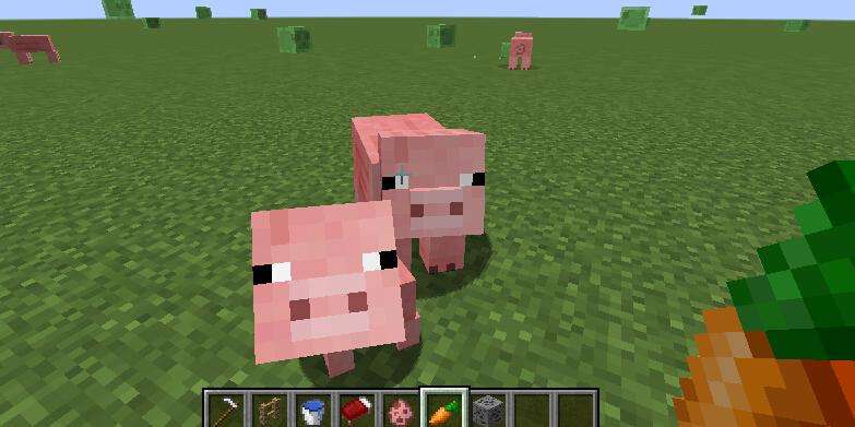 在《我的世界》中怎样把动物驯化