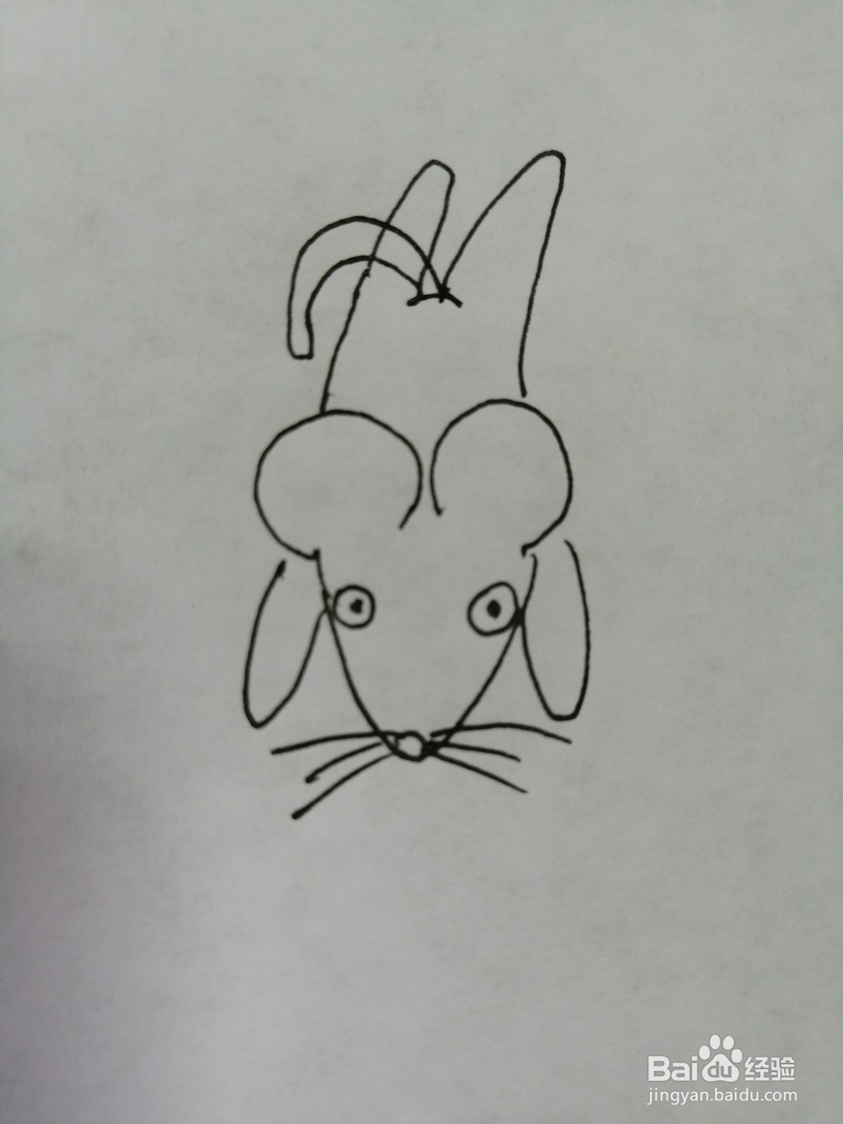 简笔画小老鼠怎么画