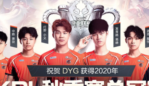 dyg夺冠阵容是什么