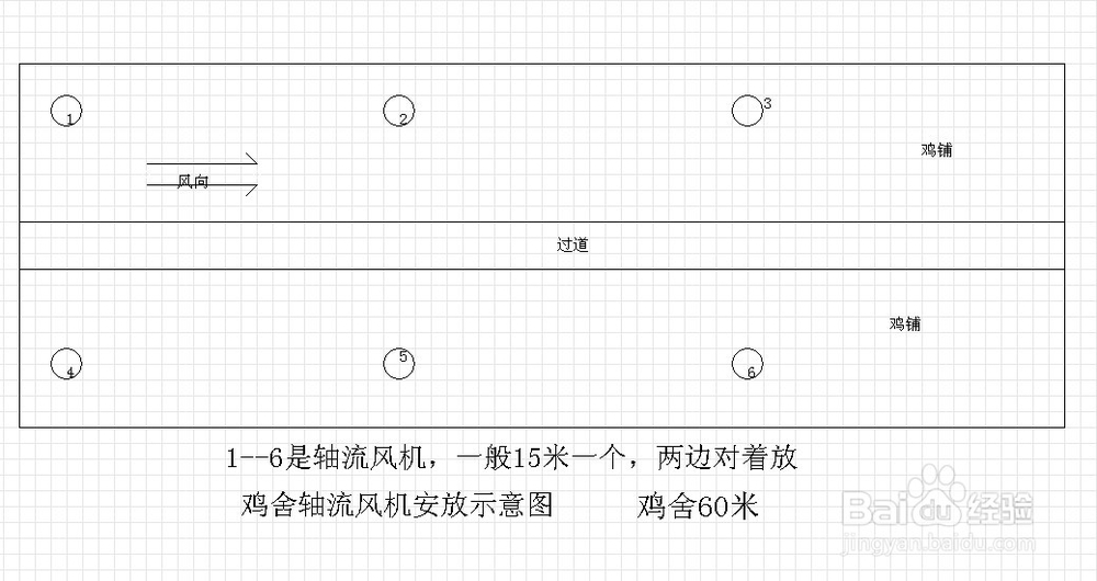 肉鸡养殖系类之：夏季高温鸡舍怎样防暑降温？