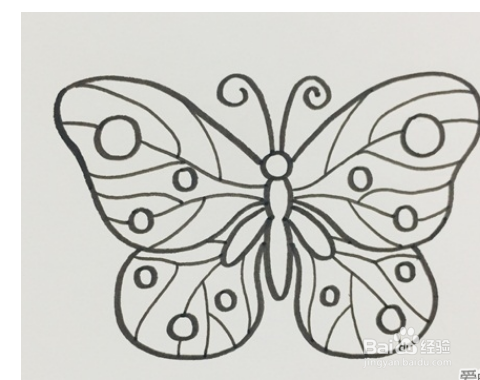 怎么画蝴蝶好看