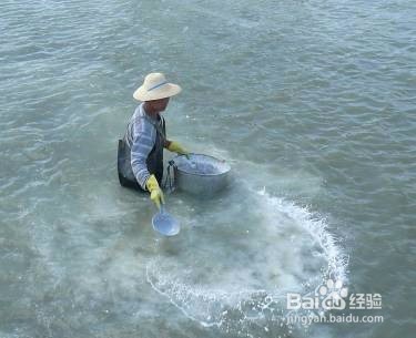 楼顶饮用水池如何防生虫
