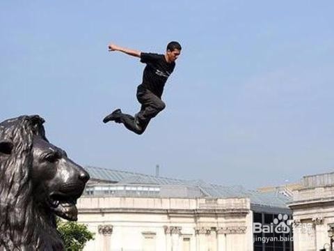 如何搜索信息？