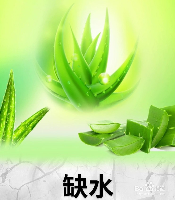 芦荟灌肤的功效