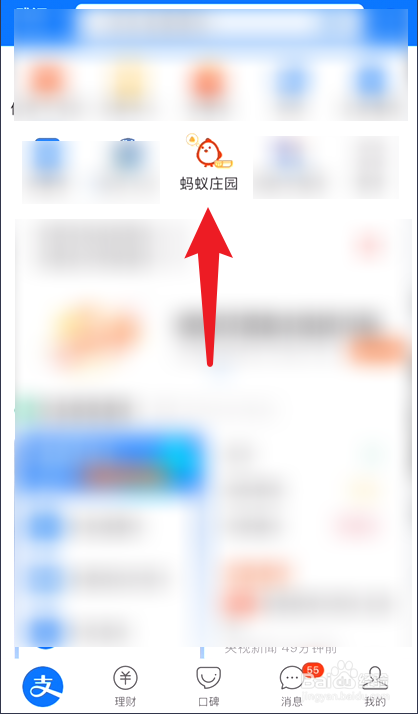 成熟的香蕉，形状为什么是弯的蚂蚁庄园答案