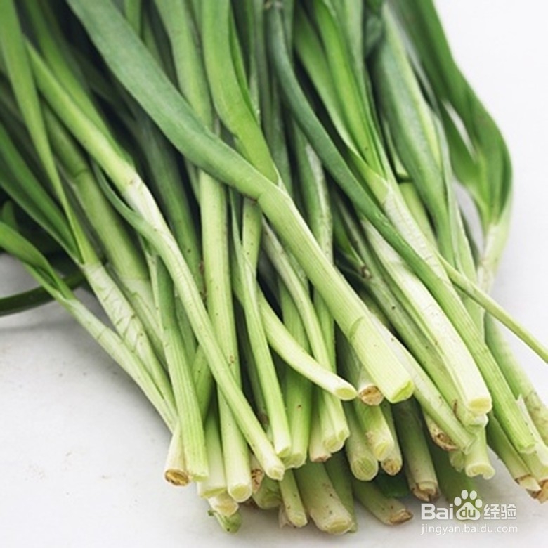 補腎保健效果的13種食物