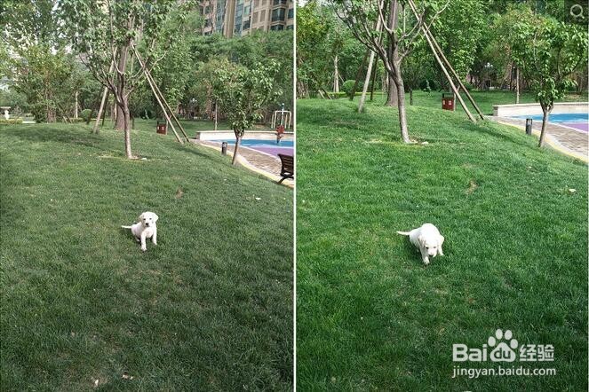 乐视乐Max2金色版对比测评