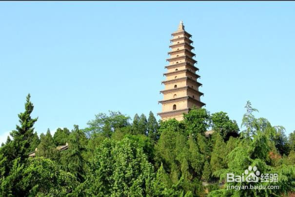 永济普救寺旅游区怎么游玩？